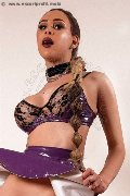 Foto Annunci Vip Transescort Miss Valentina Bigdick 3477192685 - 32