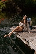 Foto Annunci Vip Transescort Modena Vanessa Hilton 3245846577 - 68