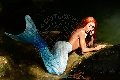 Foto Annunci Vip Transescort Parma Monica Kicelly 3245833097 - 109