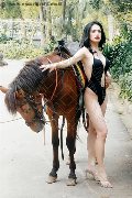 Foto Annunci Vip Transescort Pordenone Biancaladyboy 3932233064 - 6