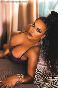 Foto Annunci Vip Transescort Reggio Emilia Sandra Ravach 3341547195 - 73