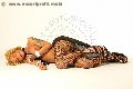 Foto Annunci Vip Transescort Roma Robby 3336677555 - 4