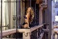 Foto Annunci Vip Transescort San Gallo Rayca 3485638746 - 236