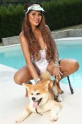 Foto Annunci Vip Transescort Soletta Bruna Deep Swallow 0041762351098 - 82