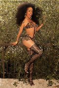 Foto Annunci Vip Transescort Verona Tamisca Safada 3270654407 - 88
