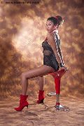 Foto Annunci Vip Transescort Vicenza Joy Seraphim 3279007310 - 63