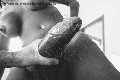 Foto Hot Annunci Vip Trans Cannes Paula Xxl 3762961336 - 3
