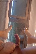 Foto Hot Annunci Vip Trans Cinisello Balsamo Antonella Tx 3883290158 - 1