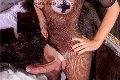 Foto Hot Annunci Vip Trans Legnano Ale Cavallona 3508935739 - 12