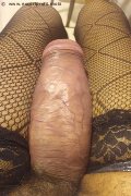 Foto Hot Annunci Vip Trans Milano Virna La Super Dotata 3494393969 - 3