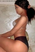 Foto Hot Annunci Vip Transescort Cuneo Evelyn Domenicana 3516154564 - 2