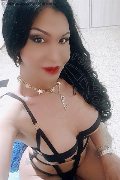 Bologna Trans Rosa Xxxl 328 74 36 345 foto selfie 78