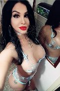 Bologna Trans Rosa Xxxl 328 74 36 345 foto selfie 36