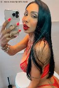 Gallarate Trans Thayys Castro 329 72 89 046 foto selfie 37