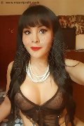 Basilea Trans Escort Morena Tx  0041766865265 foto selfie 26