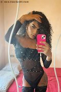 Gallarate Trans Escort Kauane Lima 351 44 38 227 foto selfie 11