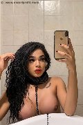 Novara Trans Escort Miele 331 78 08 280 foto selfie 36