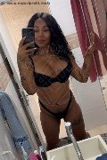 Pescara Trans Escort Gracciane Titti Xl 388 10 16 532 foto selfie 3