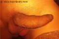 Termoli Trans Escort Vittoria Mazza 334 77 63 969 foto selfie 18
