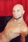 Foto Annunci Vip Boys Rio De Janeiro Pablo Alencar 005522996085276 - 1
