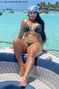 Foto Annunci Vip Girl Siena Sofia 3511378600 - 6