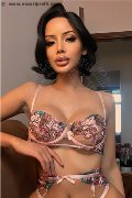 Foto Annunci Vip Girl Udine Sonya 3803734851 - 4