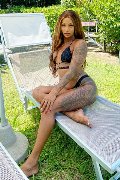 Foto Annunci Vip Trans Alba Adriatica Hillary Brasiliana 3384136322 - 43