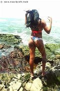 Foto Annunci Vip Trans Bologna Naomy Xl 3290167932 - 171