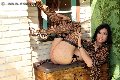 Foto Annunci Vip Trans Giussano Bella Solare 3347416269 - 27