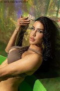 Foto Annunci Vip Trans Milano Nicole Andrade 3298948041 - 13