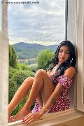 Foto Annunci Vip Trans Milano Nicole Andrade 3298948041 - 131