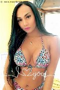 Foto Annunci Vip Trans Roma Luana Fernandes 3246046310 - 20