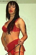 Foto Annunci Vip Trans Vercelli Delizia 3775990608 - 20