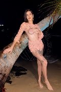 Foto Annunci Vip Trans Verona Nick Miller 3382945956 - 56