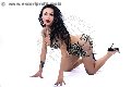 Foto Annunci Vip Transescort Adriana Paulett 3891399263 - 136