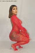 Foto Annunci Vip Transescort Firenze Gabyzinha 3520298736 - 15