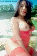 Foto Annunci Vip Transescort Rovigo Nikoll 3508300505 - 7