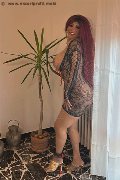 Foto Annunci Vip Transescort Siena Carolina Sexy 3486599498 - 10