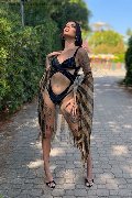 Foto Annunci Vip Transescort Verona Nick Miller 3382945956 - 82
