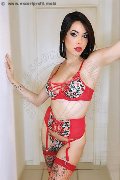 Foto Annunci Vip Transescort Verona Nick Miller 3382945956 - 134
