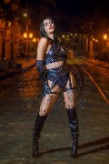 Foto Annunci Vip Transescort Verona Nick Miller 3382945956 - 121