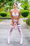 Foto Annunci Vip Transescort Verona Nick Miller 3382945956 - 16