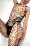 Foto Annunci Vip Travescort Roma Ariel Femboy 3295516521 - 26