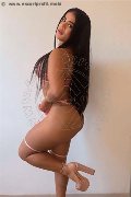 Foto Hot Annunci Vip Girl Siena Sofia 3511378600 - 1