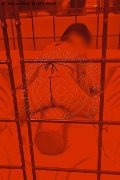 Foto Hot Annunci Vip Girl Varese Giada 3508917930 - 2