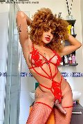 Foto Hot Annunci Vip Trans Milano Stella 3295563971 - 5