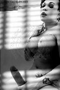 Foto Hot Annunci Vip Transescort Genova Dior 3472825420 - 140