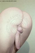 Foto Hot Annunci Vip Travescort Noventa Di Piave Vanessa Dior 3450405832 - 8