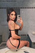 Verona Trans Escort Nick Miller 338 29 45 956 foto selfie 3